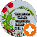 Mubarak Ansari profile picture